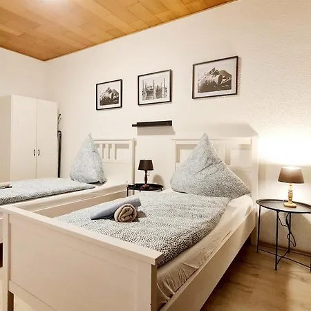 Elena Flat Sonnenblumen Zentrum