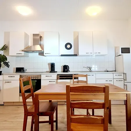 Elena Flat Sonnenblumen Zentrum 杜伊斯堡